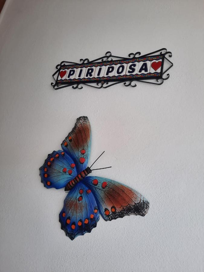 Mi Piriposa Сasa de vacaciones Valverde (El Hierro)